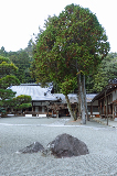 image0019