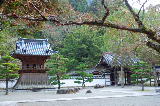 image0039
