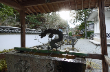 image0045