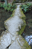 image0065