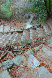 image0069