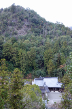 image0077