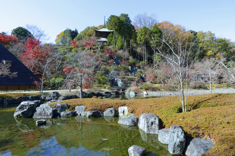 image0009