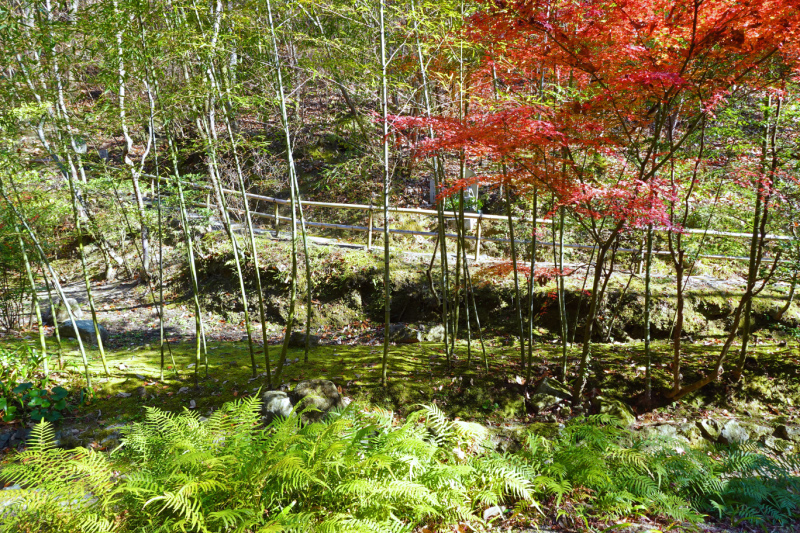 image0040