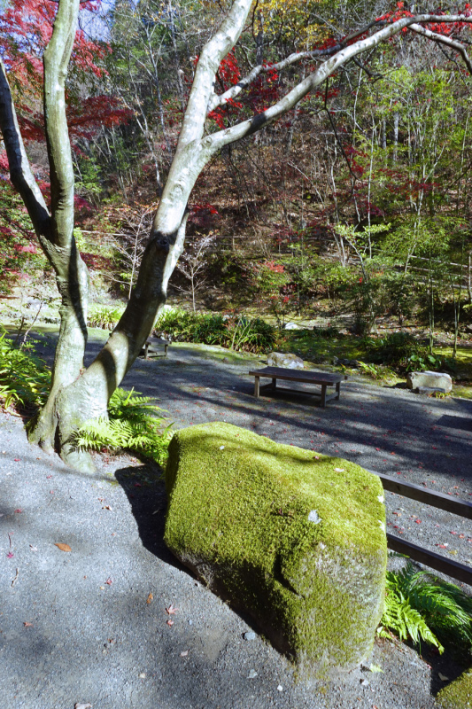 image0044