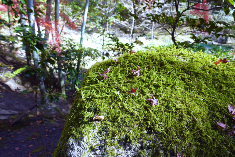 image0047