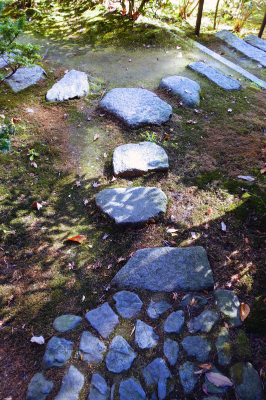 image0072