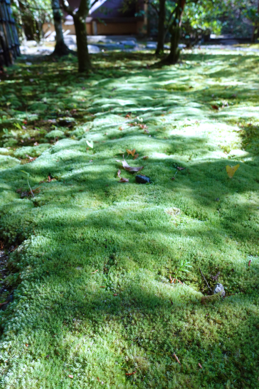 image0074