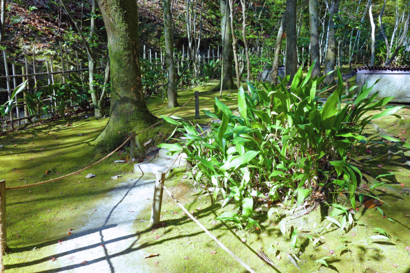 image0078