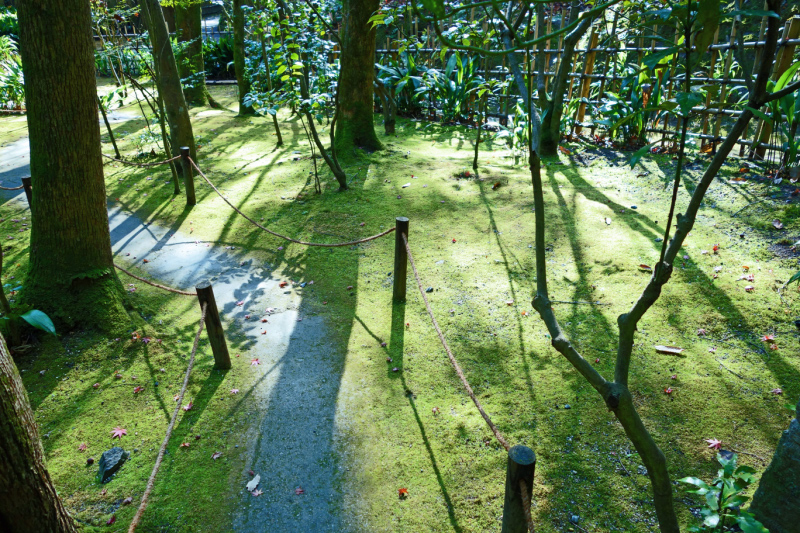image0079