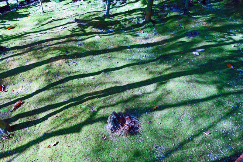 image0080