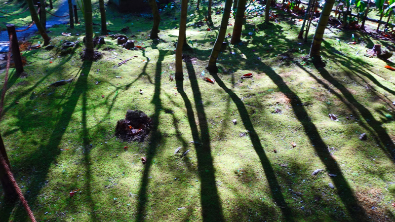 image0083