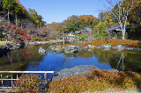 image0003