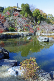 image0005