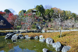 image0009