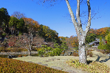 image0011