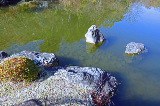 image0013