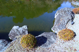 image0014
