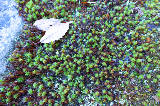image0023