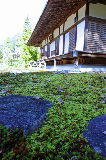 image0024