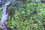 image0025