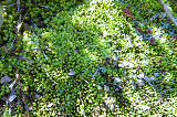 image0027