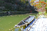 image0035