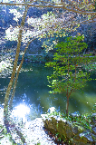 image0039