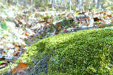 image0041