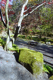 image0044