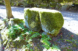 image0045