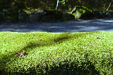 image0046