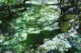 image0073