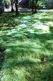 image0074