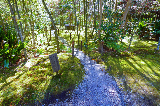 image0076