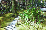 image0078