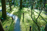 image0079