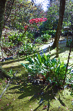 image0082