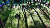 image0083