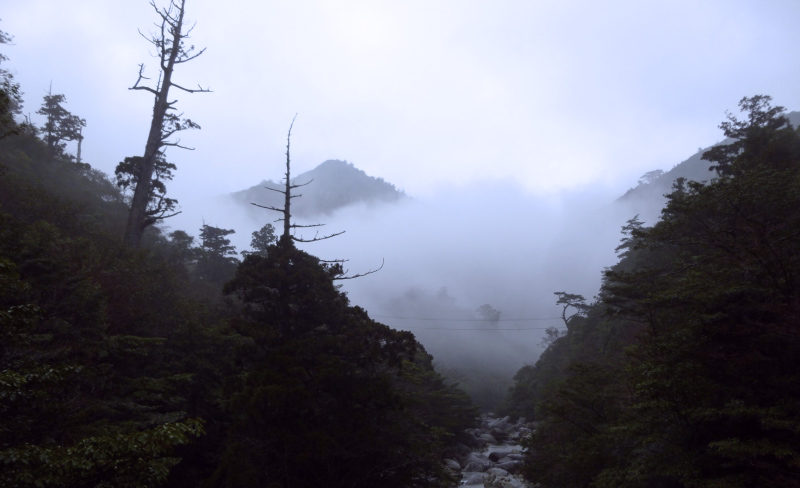 image0009