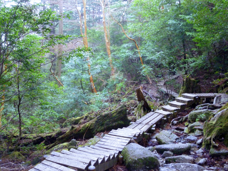 image0012