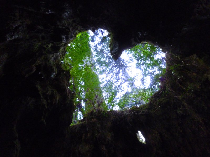 image0014