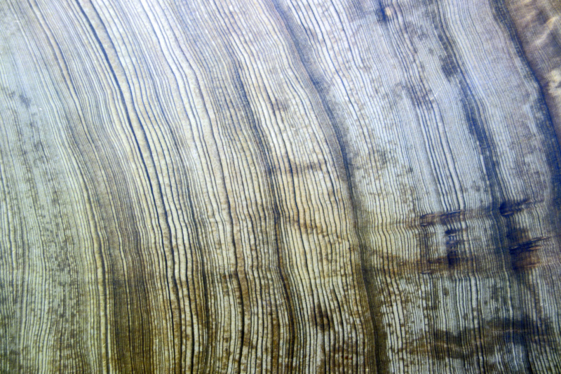 image0020