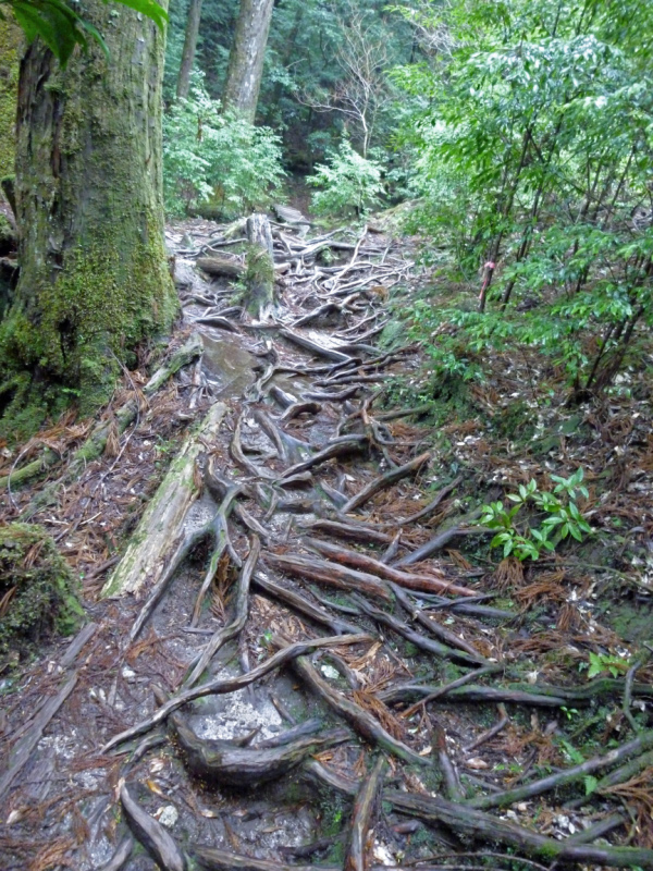 image0021