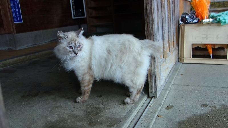 image0025