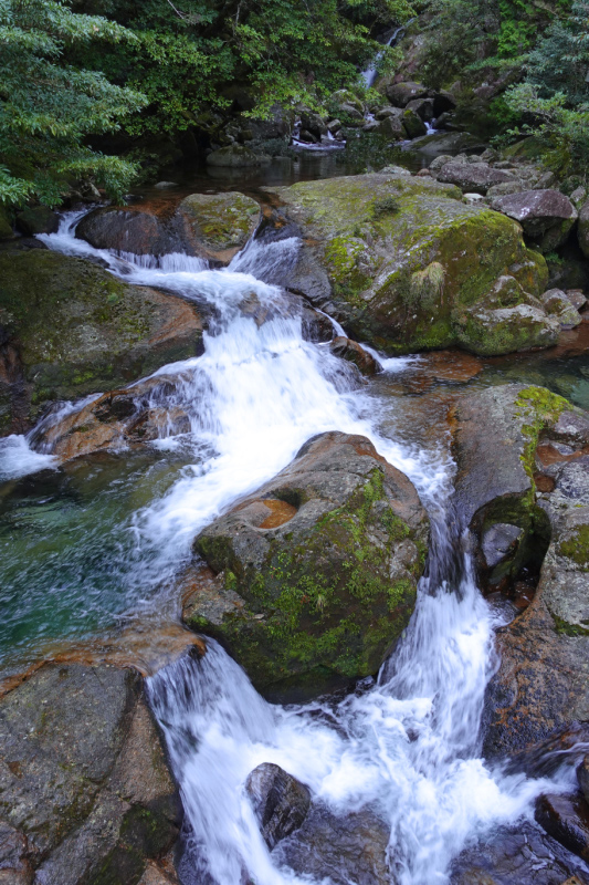 image0099
