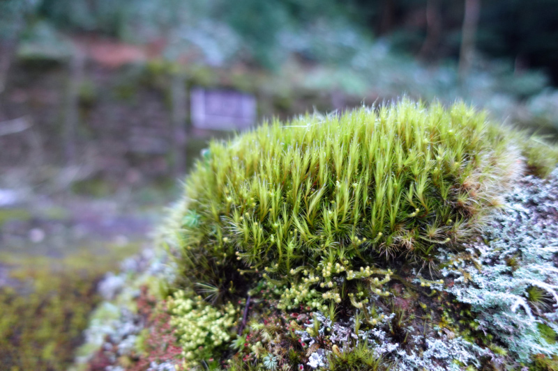 image0102