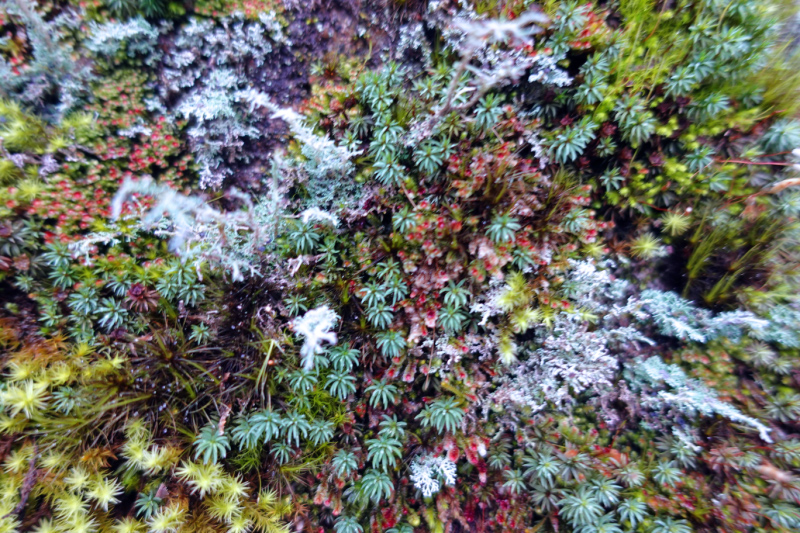 image0103