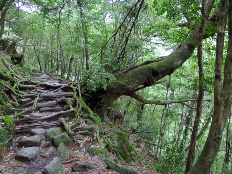 image0109