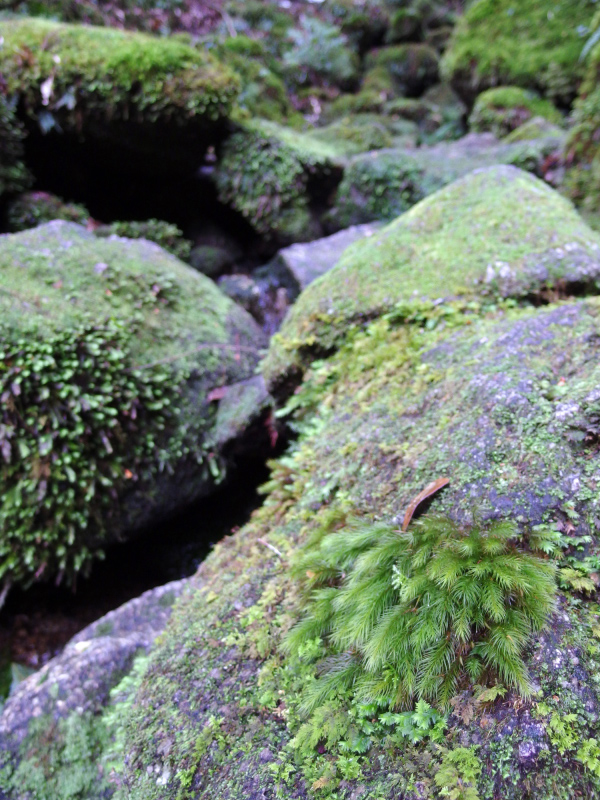 image0110